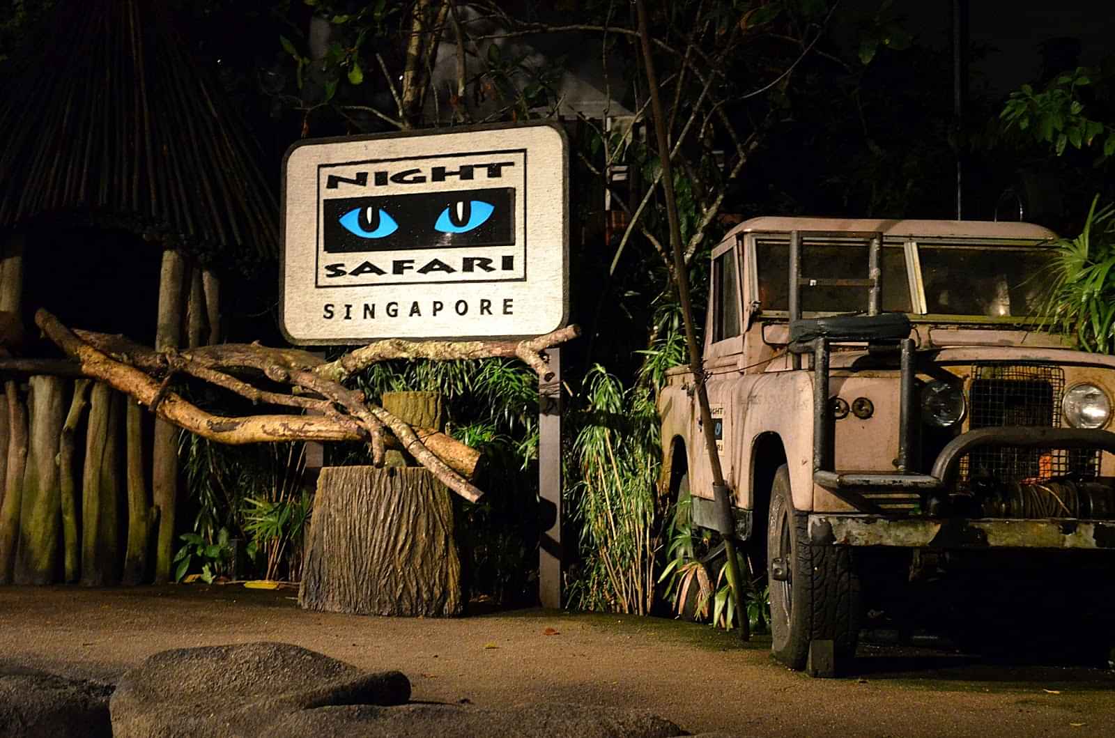 Night safari with tram