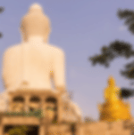 Phuket - Combo 5 - Big Buddha, Elephant Trekking - 15 Mins with Shared Transfer