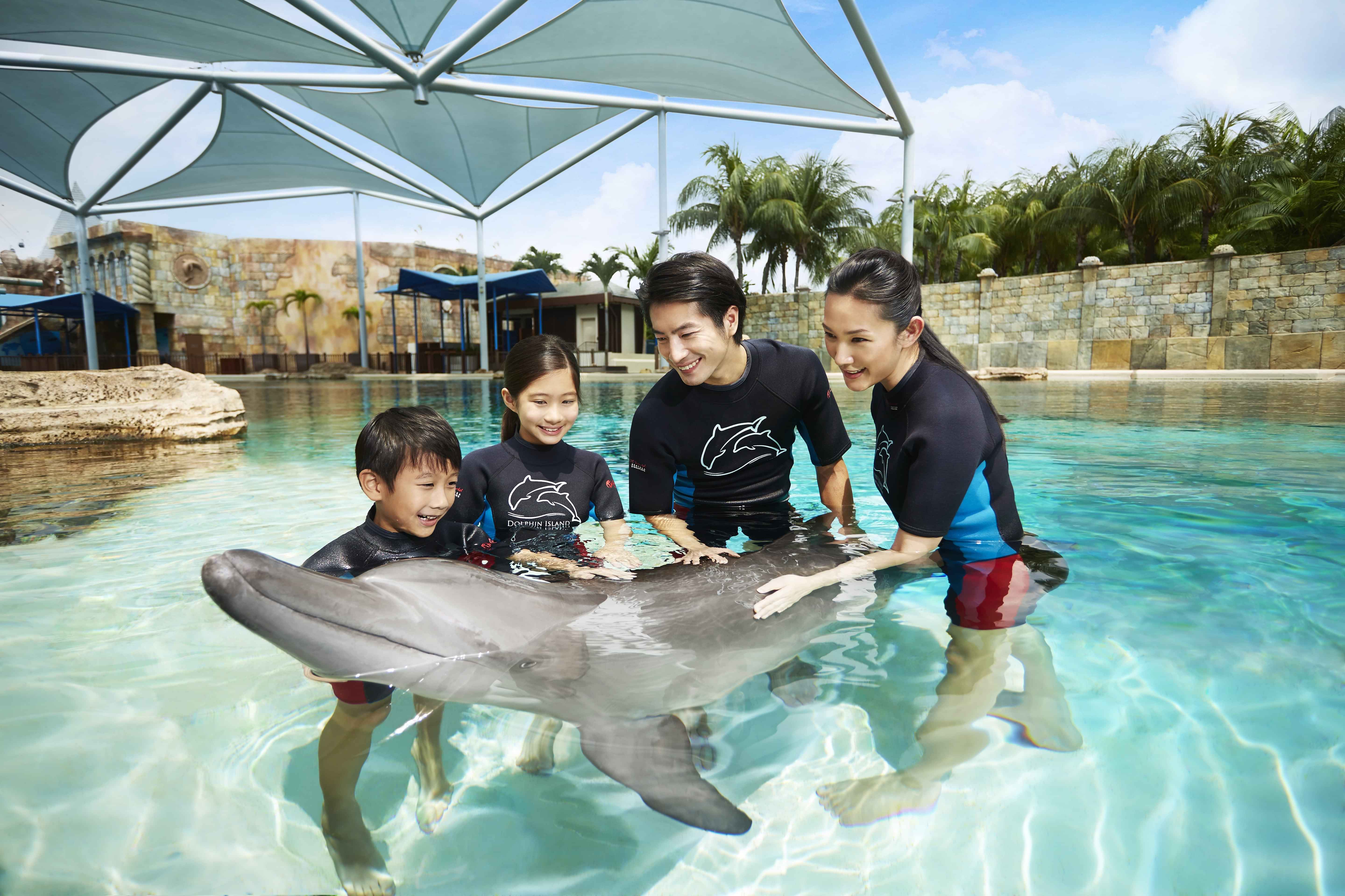 Dolphin Island Interaction Programs(only tickets)