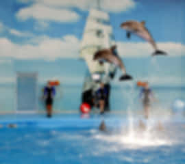 The perfect 4 day trip to Thailand