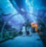 National Aquarium AUH (General Admission) - Ticket Only