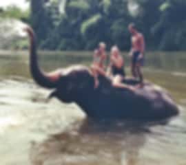 Incredible 7 Nights Phuket Honeymoon