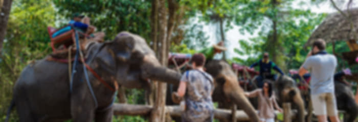 Enigmatic 5 Nights Phuket Honeymoon Package