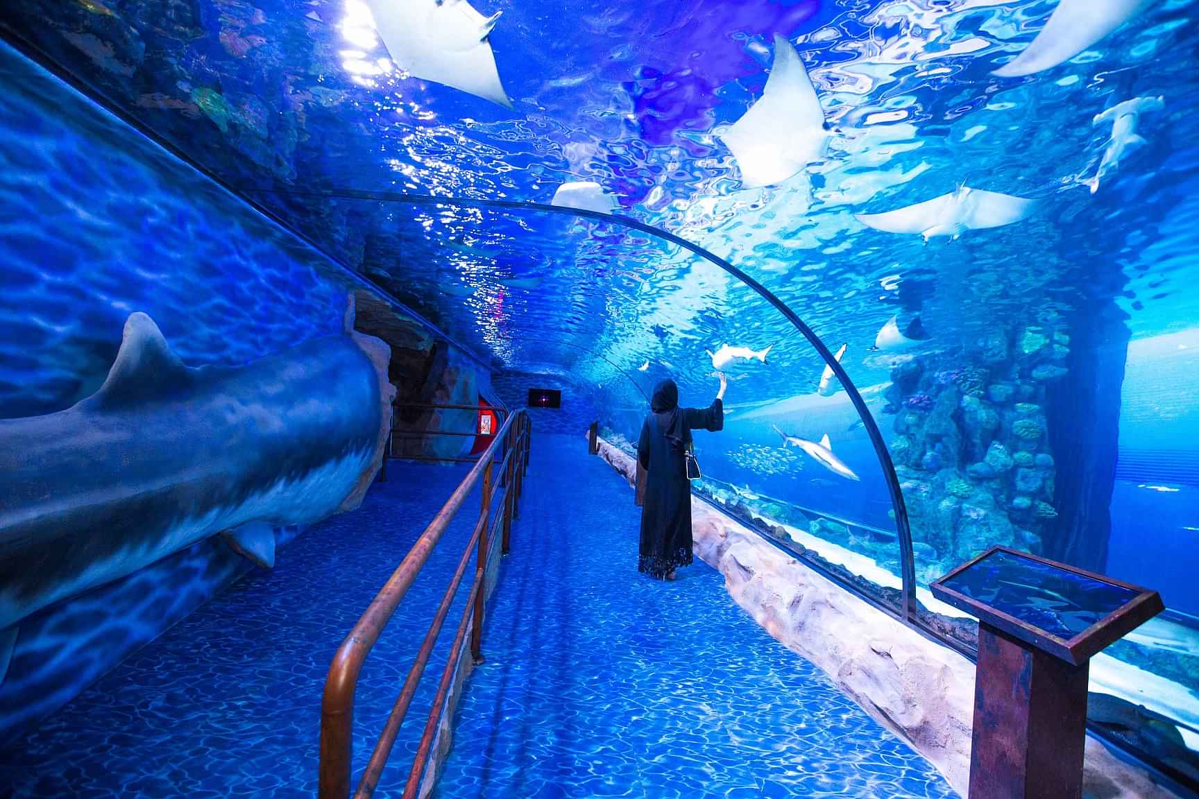 Ultimate Dubai Experience: City Tour, Burj Khalifa - (Non Prime Hours), Aquarium & Underwater Zoo Adventure With Shared Transfers