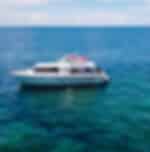 Port Douglas to Great Barrier Reef Cruise