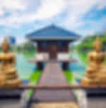 Gangaramaya Temple Colombo (30 Min)