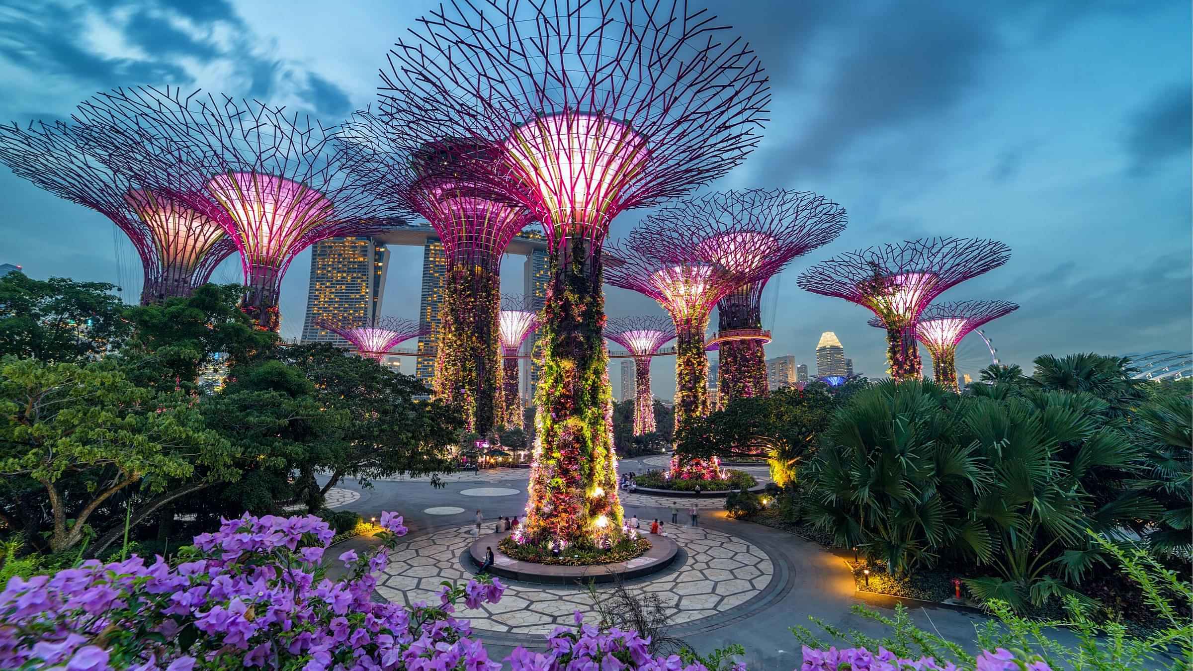 MBS + Gardens By The Bay (Flower Dome + Super tree Observatory) - Ticket only