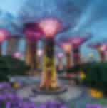 Gardens By The Bay (Flower Dome + Supertree Observatory) - Ticket Only
