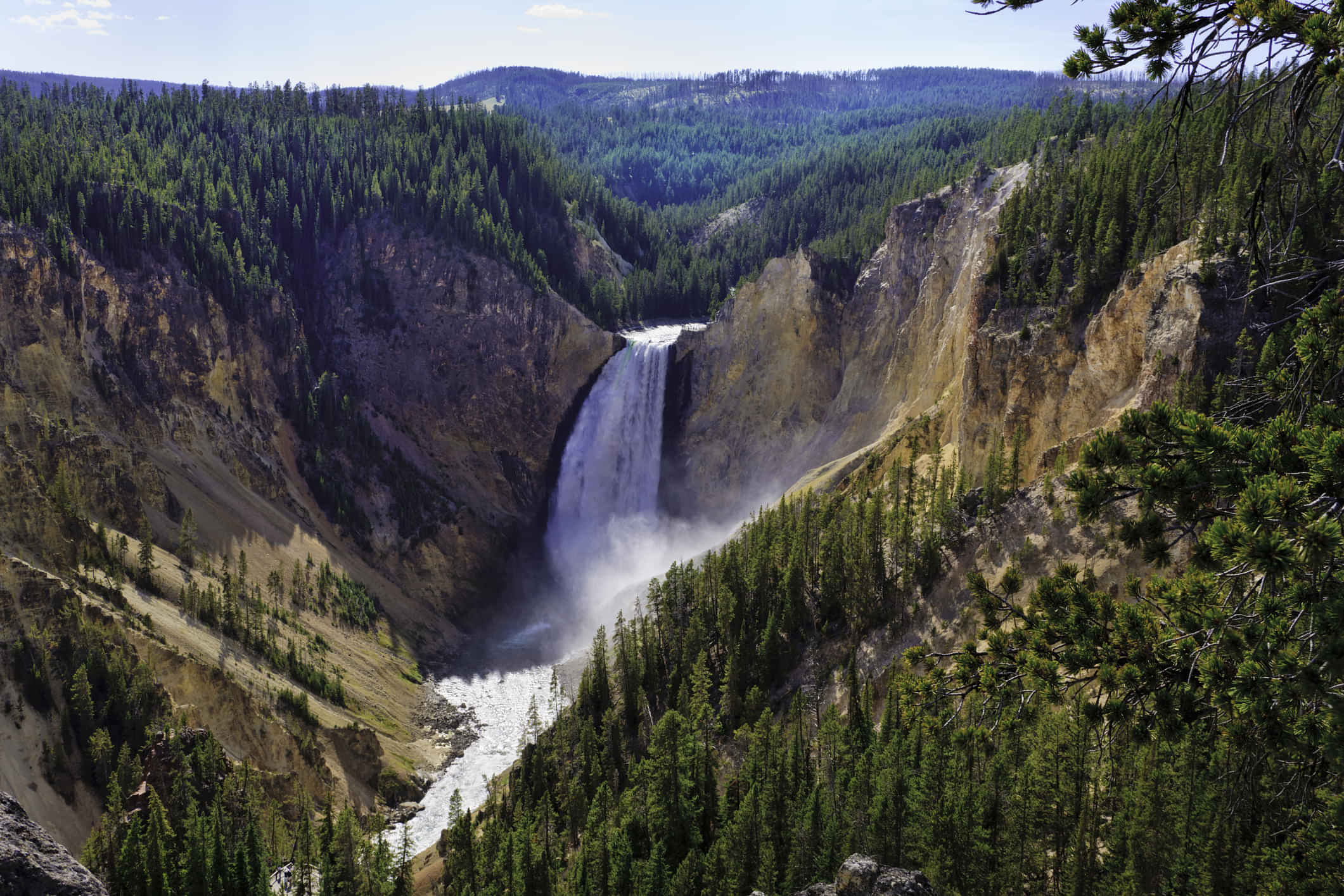 Yellowstone national park - FD