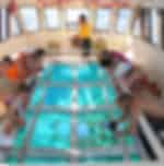 Glass Bottom Boat with Shared Transfers