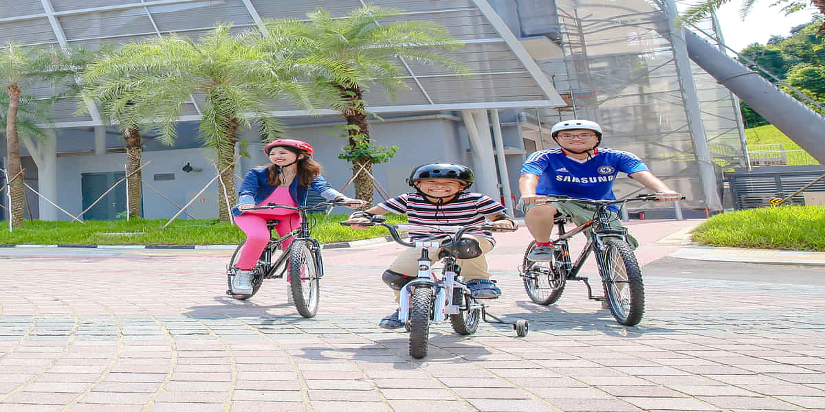 Sentosa - Gogreen Bicycle Rental ( 2 Hour)