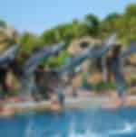 7 Day Theme Park Pass