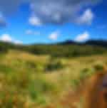 Horton Plains - Jeep Transfer for 06 Pax (3hours) - SIC Transfers