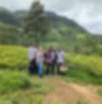Tea Trails And Ramboda Wonders