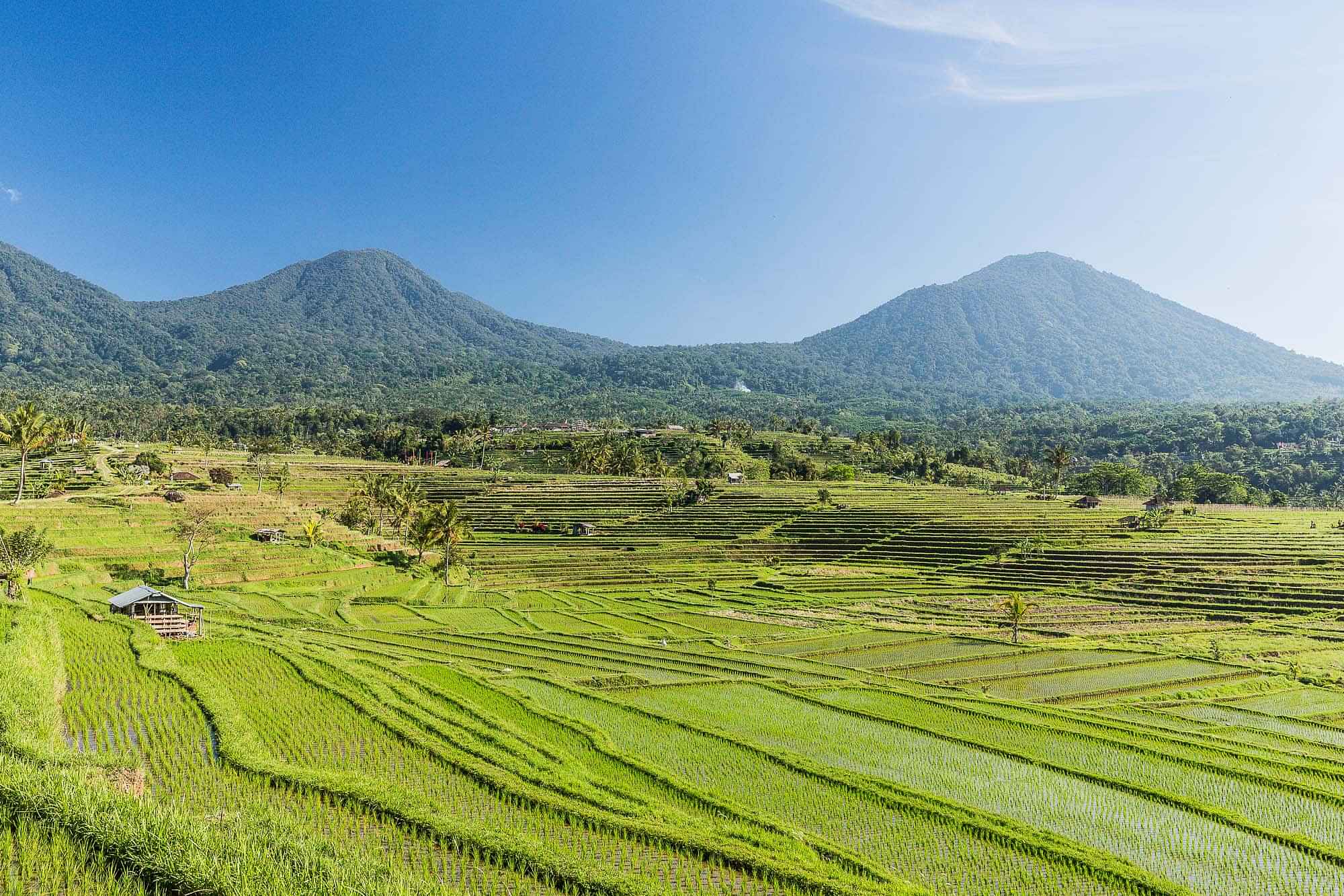 Explore Tirtha Ganga & Jatiluwih rice terraces (Nt possible)