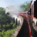 Jacobite express train