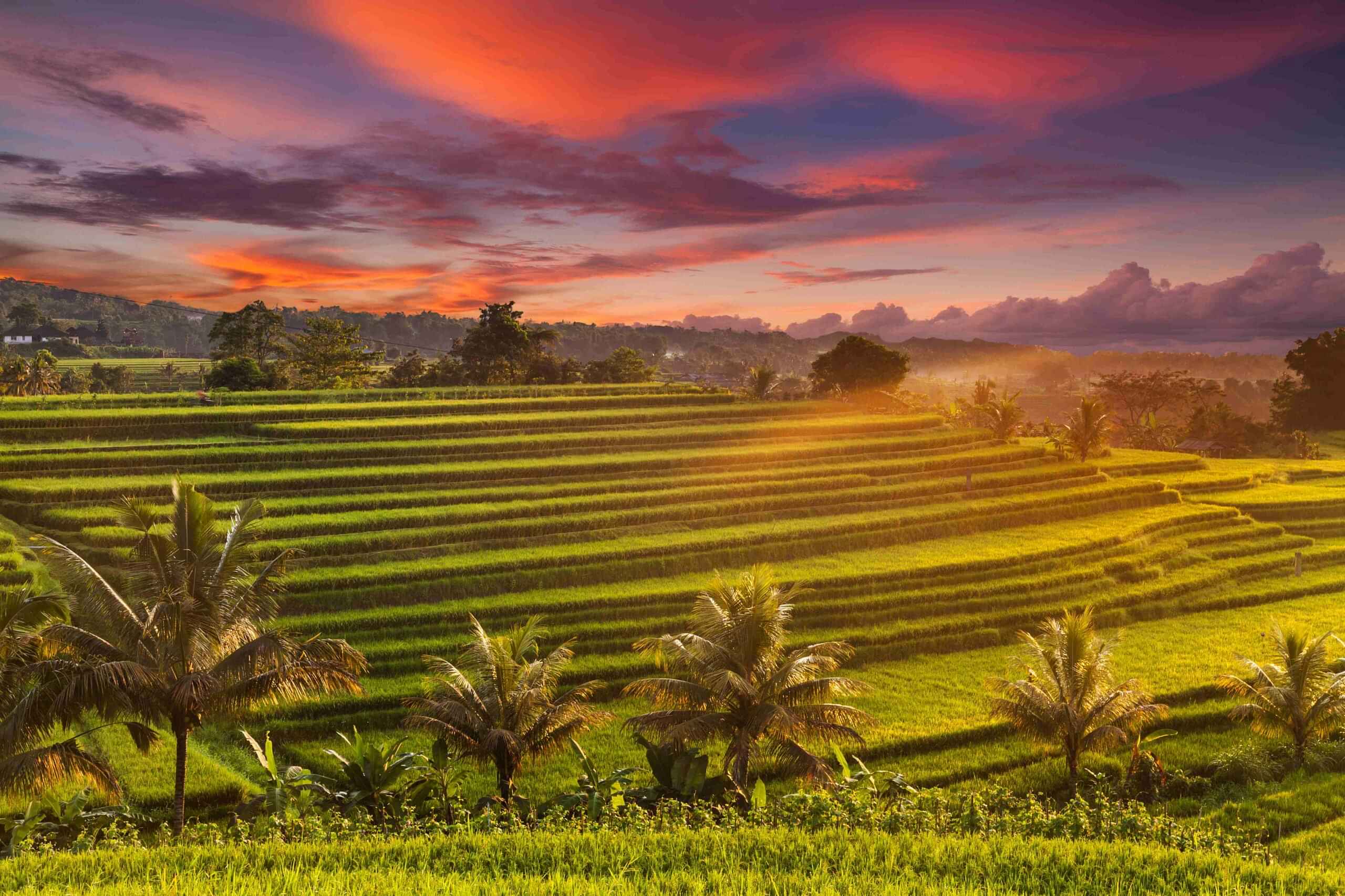 Northwest Ubud Treasures: Ulun Danu Temple, Handara Gate & UNESCO heritage Jatiluwih Terraces