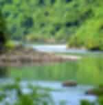 Jewel of Fiji Full Day Tour by Discover Fiji With Shared Transfers