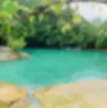 Jungle Tour with Lunch (Exempted National Park Fee) on SIC