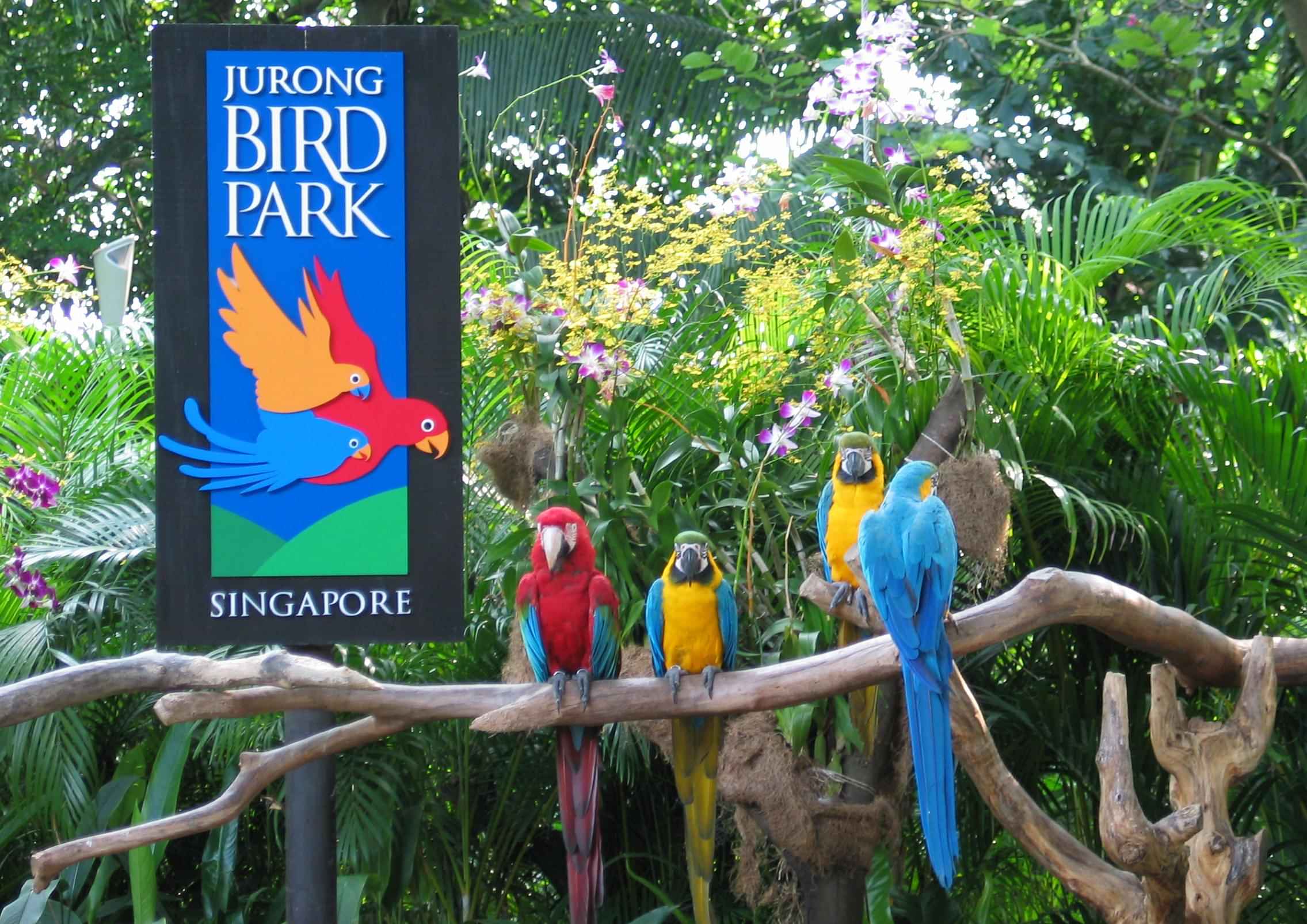 Jurong Bird Park with a tram ride on Seat in Coach  (Closed from Jan 3 2023)