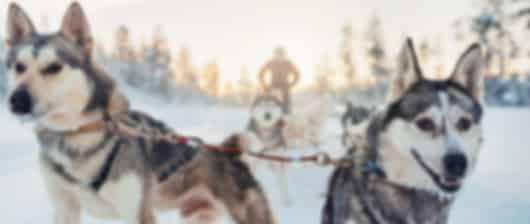 Kakslauttanen 5 Nights 6 Days Luxury Itinerary