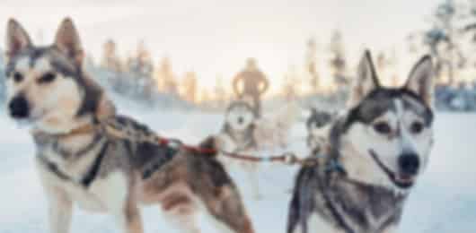 Kakslauttanen 5 Nights 6 Days Luxury Itinerary