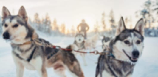 Kakslauttanen 7 Nights 8 Days Adventure Itinerary