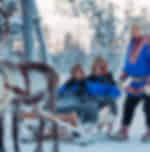Reindeer Safari - 2 Hours