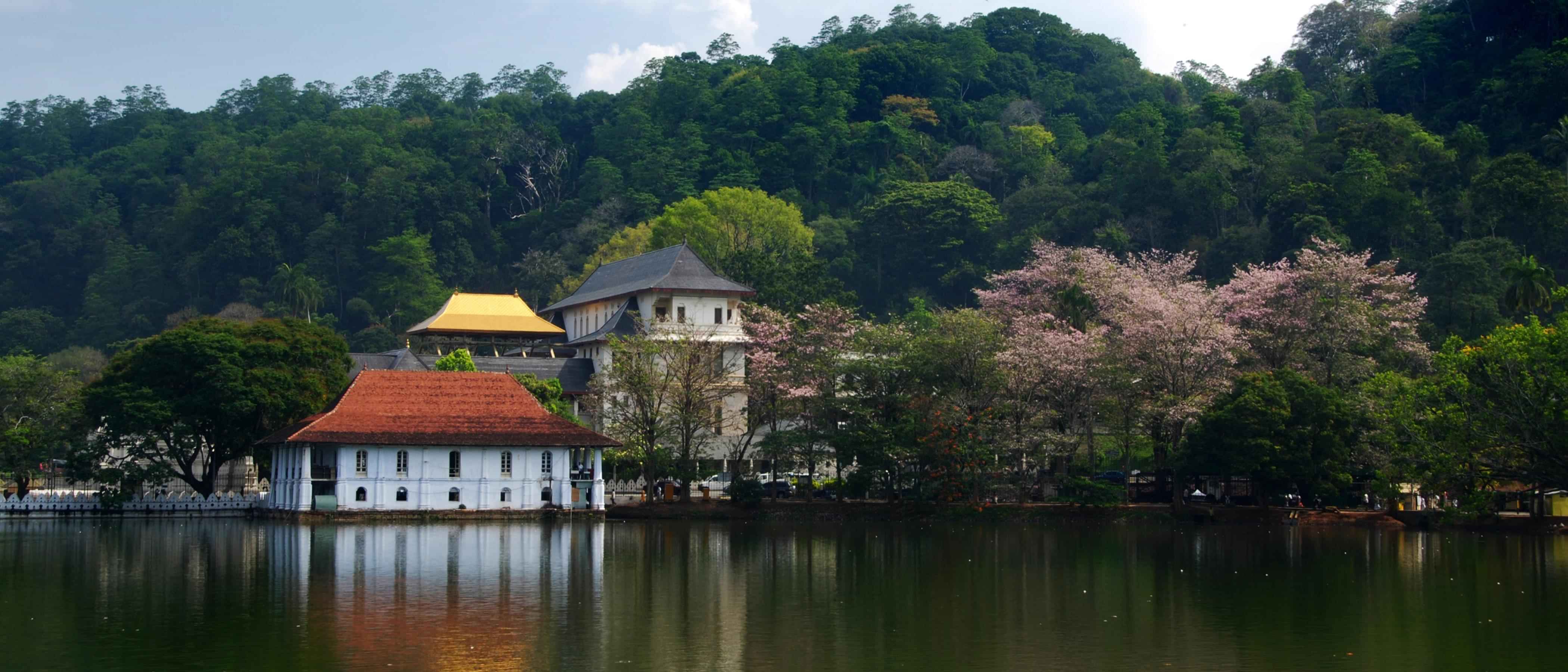 Kandy Uncovered : Visit Royal botanical gardens, kandy museum, cultural show ,  Gem Museum , Kandy lake , Spice garden , kataragama devalaya kandy. Kandy War Cemetery ,  Kandy viewpoint ,  Batik Factory , wood carving factory with private transfers.