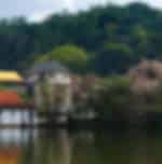 Kandy Uncovered : Visit Royal botanical gardens, kandy museum, cultural show , Gem Museum , Kandy lake , Spice garden , kataragama devalaya kandy. Kandy War Cemetery , Kandy viewpoint , Batik Factory , wood carving factory with private transfers.