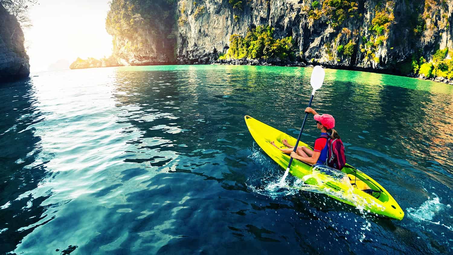 Half day Mangrove and eagle feeding by Boat in afternoon session (No lunch) with Private Transfers