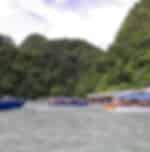 Half-Day Island Hopping only for Cenang and Pantai Tengah Hotels with Shared Transfers