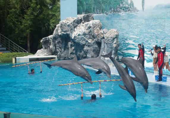 BannerImage