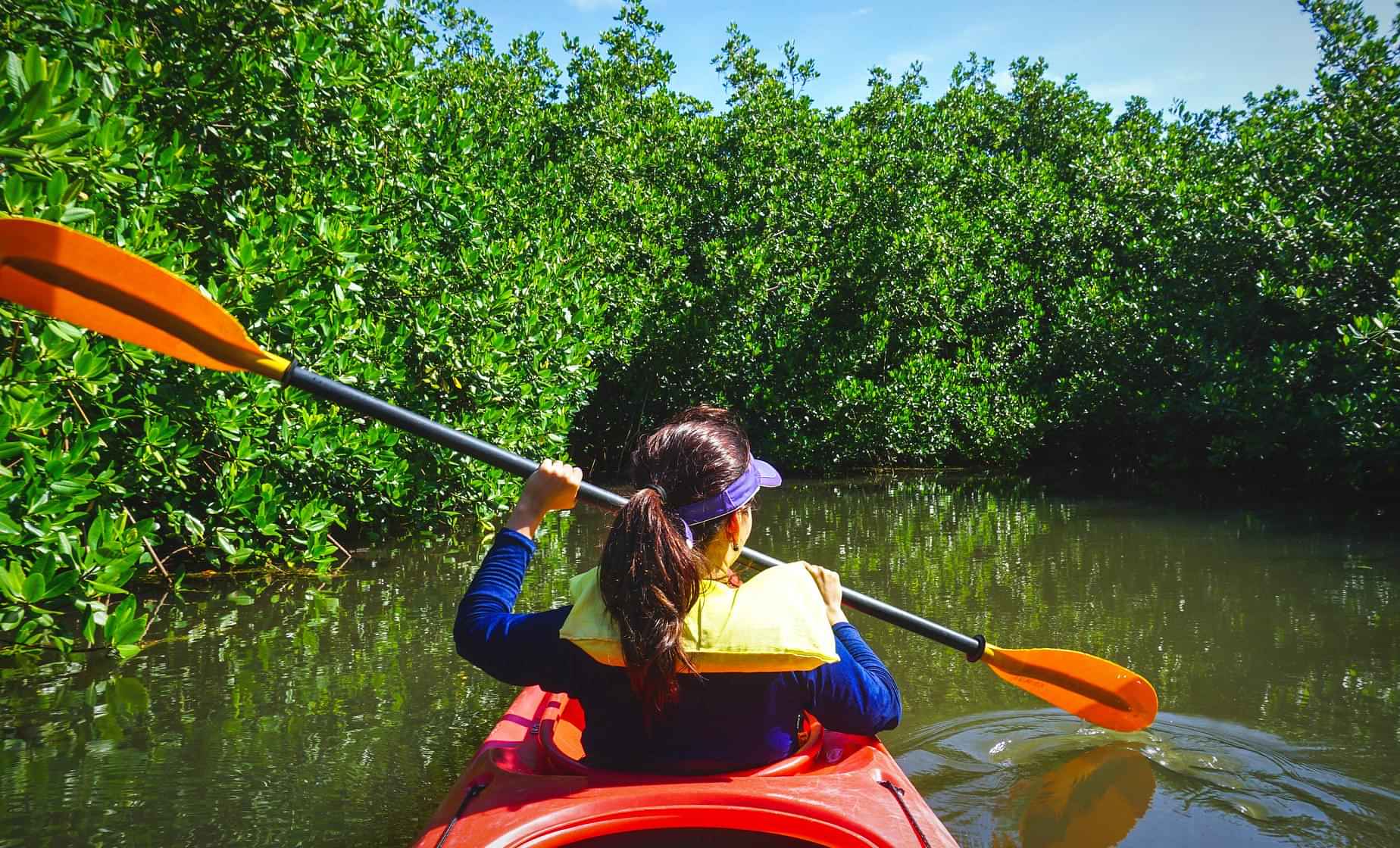 Mangrove Geopark by Kayak with Shared Transfers