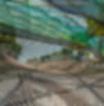 Jewel Changi Airport (Manulife Sky Nets - Walking with Canopy Park)