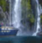 Gem of the Sound Cruise with Artisan Hamper Lunch