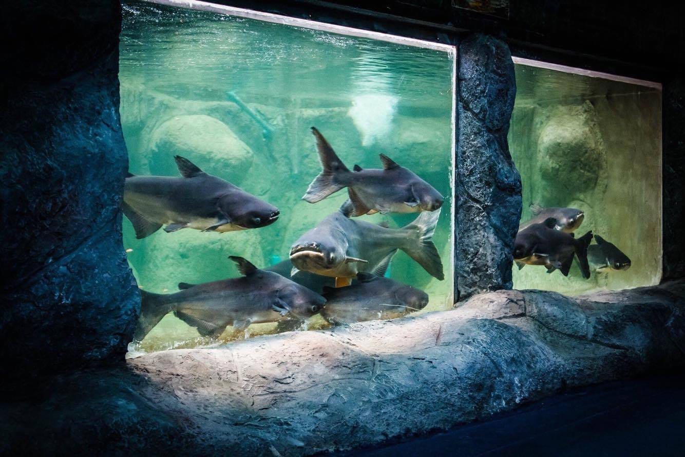 Phuket-AR Aquarium  with Private Transfer