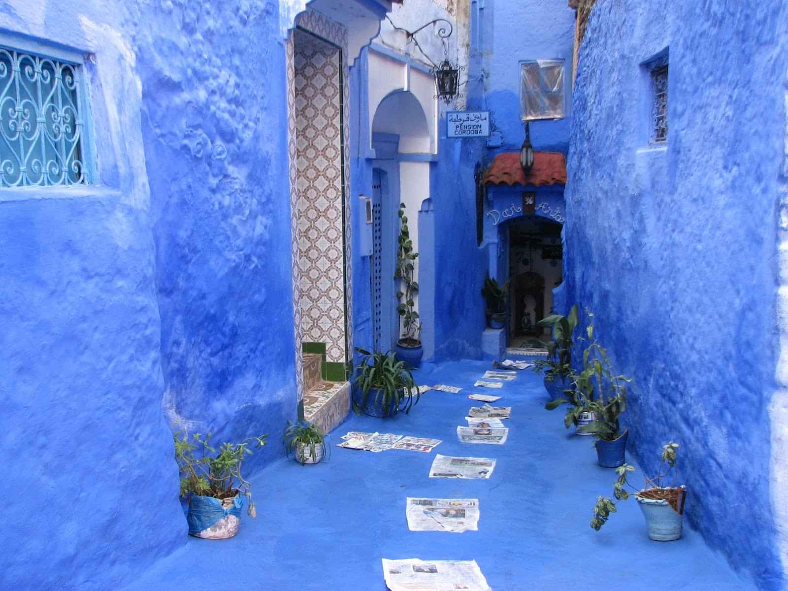 Small-Group Day Tour to Chefchaouen from Fez