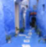 Small-Group Day Tour to Chefchaouen from Fez