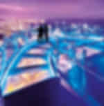 Night Tour With Indian Dinner And The Top Rainbow Skywalk