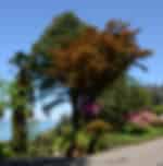 Mtirala jeep tour with shared transfers