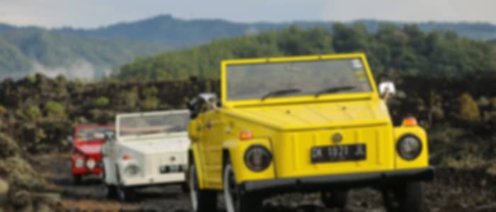 Ubud Wonders: Visit Volcano, Waterfalls, Rice Fields, Monkeys & Exhilarating Swing Thrills & Open Jeep Volkswagen tour