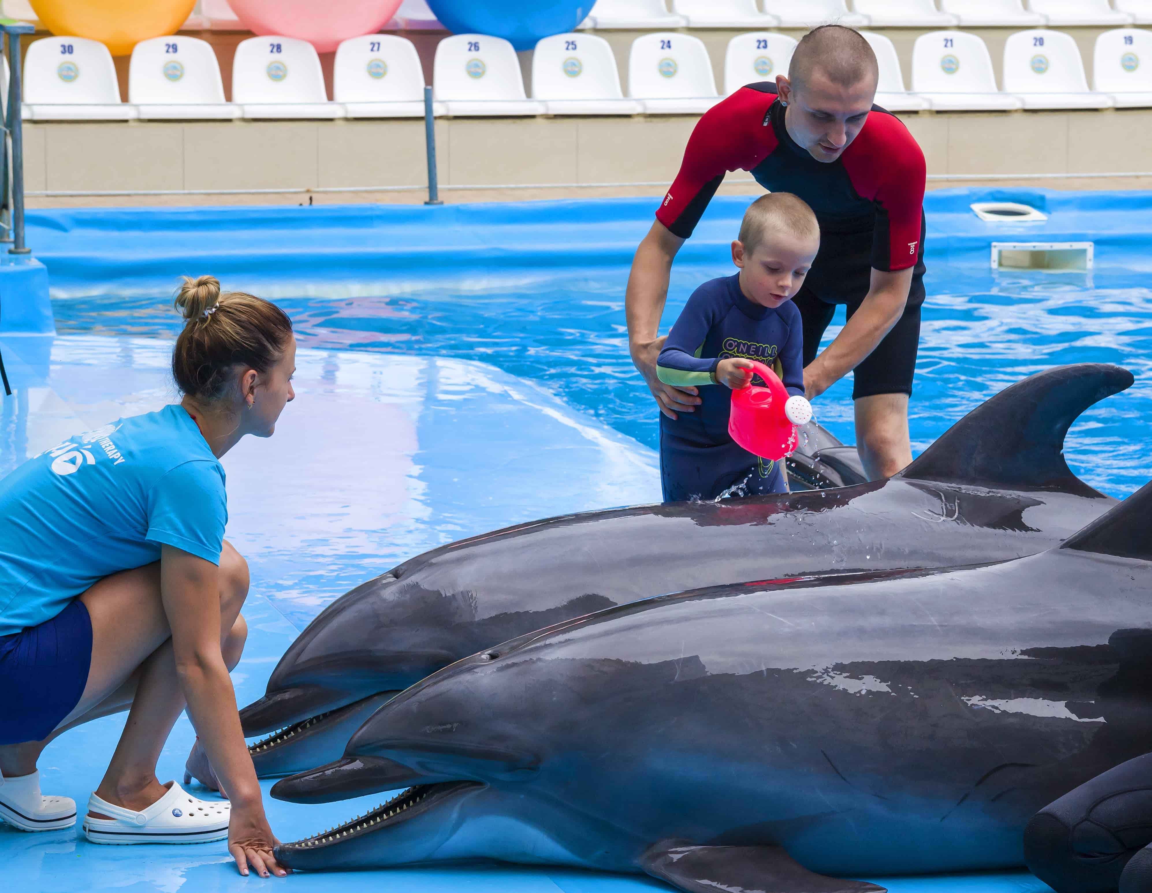 Pattaya Dolphinarium (Regular ) 