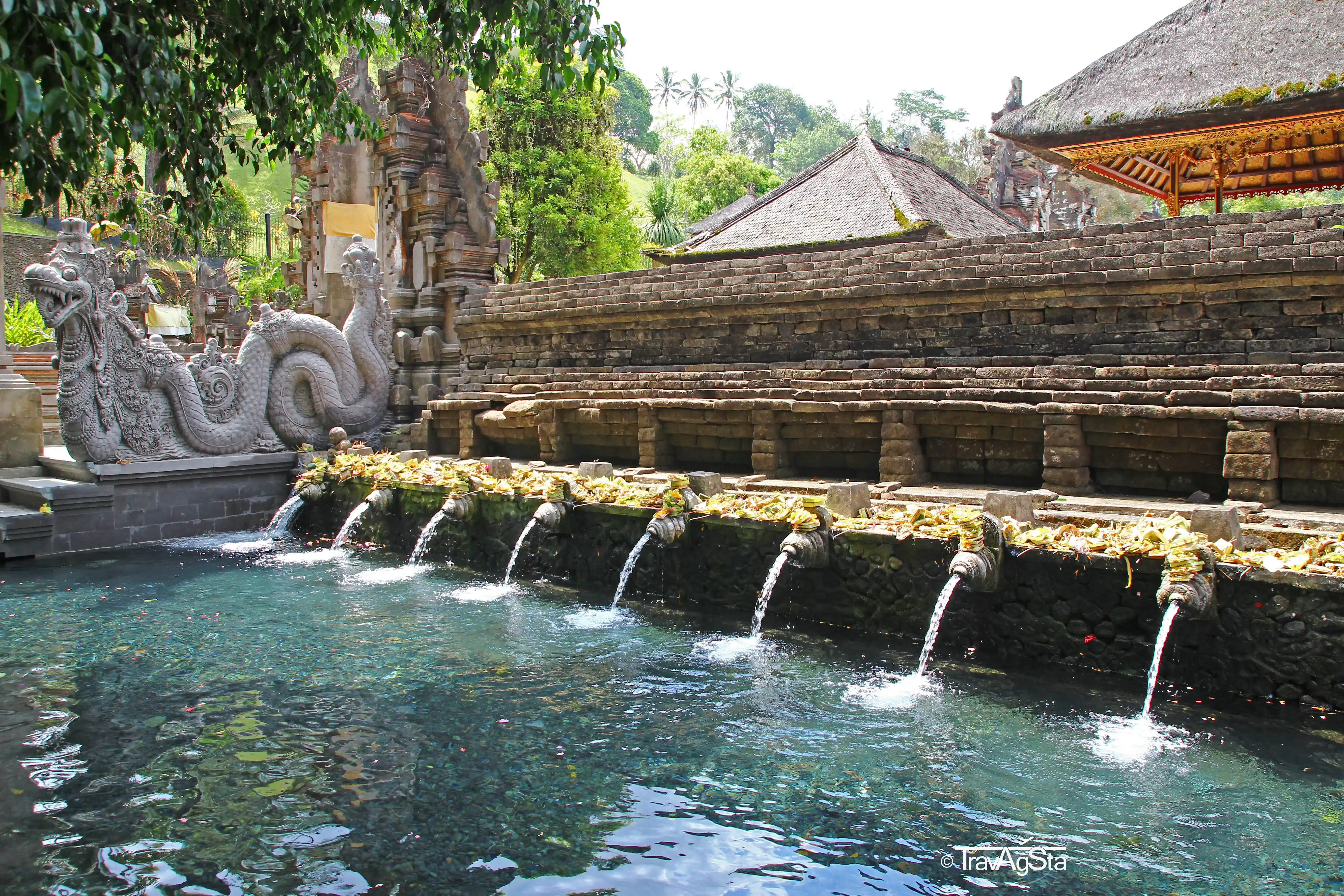 Kintamani Volcano, Tegallalang Rice Terraces , Ubud monkey forest , Tirtha Empul, Ubud art market, Coffee Plantation and Tegenungan water fall