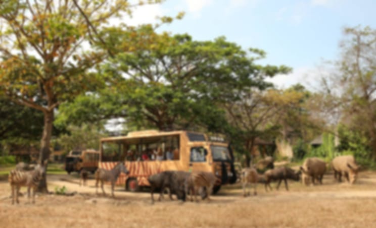 Jungle Hopper Legend at Bali Safari Park with Private transfer