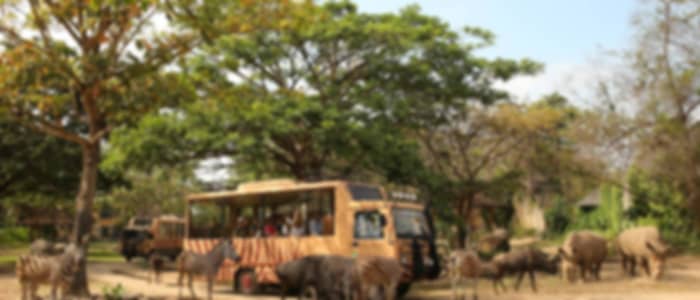 Jungle Hopper Legend at Bali Safari Park with Private transfer