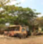 Jungle Hopper Legend at Bali Safari Park with Private transfer