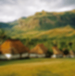 Nadi Culture & Village Half Day Tour with Shared Transfers