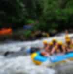 Combo, Swing at Bali Swing and White Water Rafting at Ayung River with Lunch