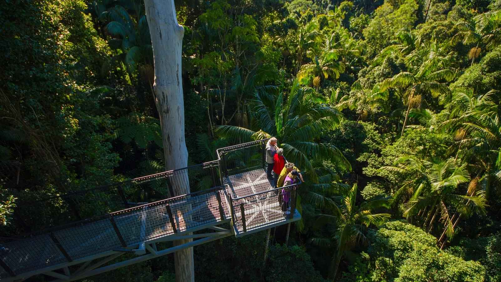 The Best of Mt Tamborine